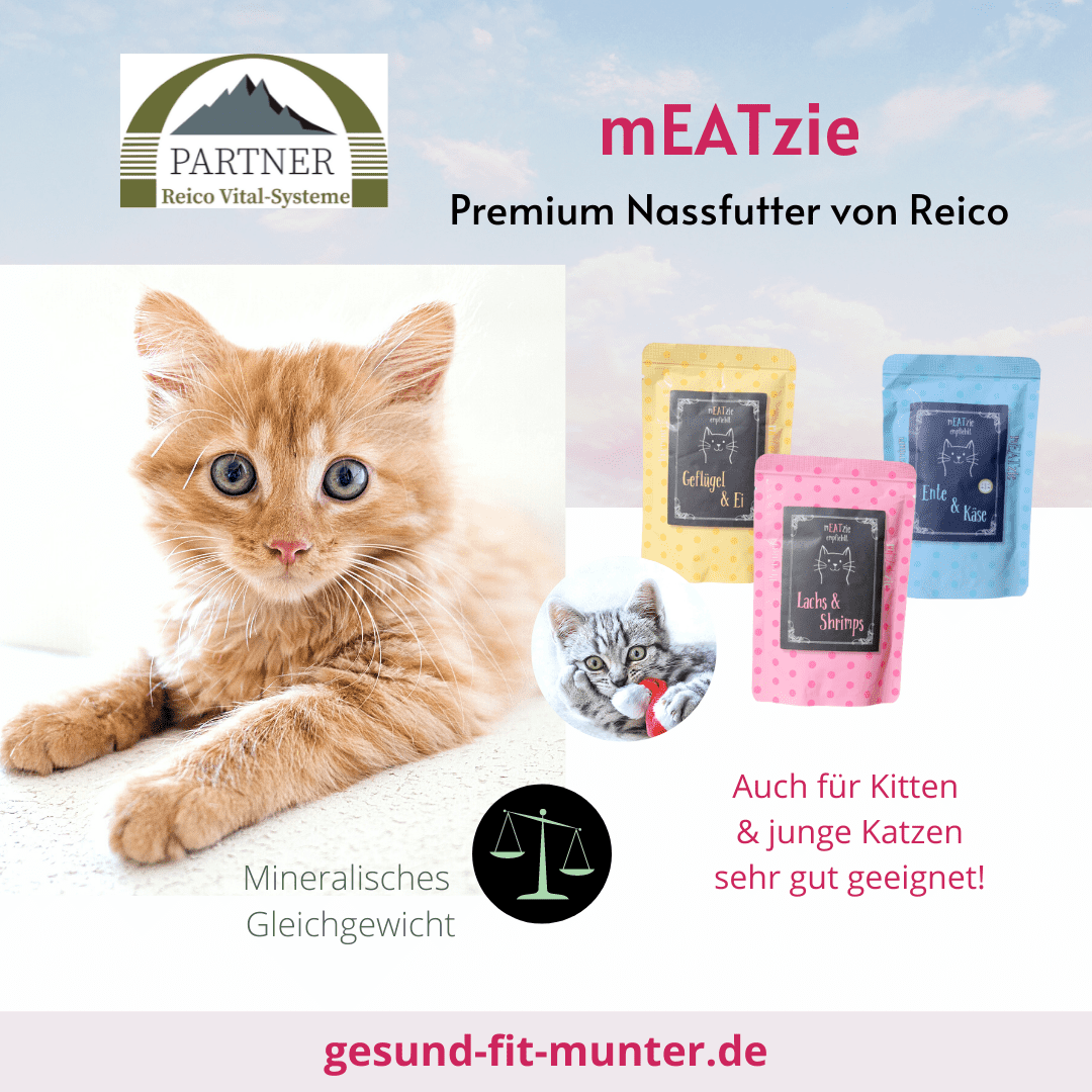 Hochwertiges Katzenfutter mEatzie von Reico gibt es in 3 Varianten & ist optimal für Kitten oder junge Katzen geeignet