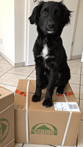 Reico Hundefutter bestellen und Reico Hundefutter Probierpaket für 18,- Euro zu Dir nach Hause erhalten.
