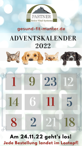 Morgen startet der Kalender 2022 - Weihnachtsaktion Seite