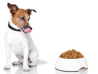Reico – Reico Vital - Reico Hundefutter - Reico Futter – Reico Trockenfutter – Trockenfutter Hund - Bio Hundefutter – Nassfutter Hunde - Welpenfutter - Reico Hundefutter kaufen